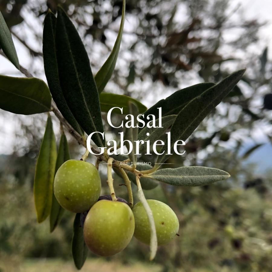 Casal Gabriele Villa Lettere Exterior foto